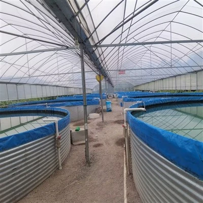 Lagerung von Fischteichen aus PVC-Material
